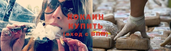 PSILOCYBIN Аркадак