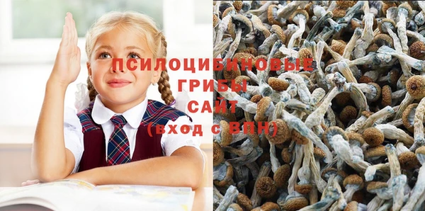 стафф Армянск
