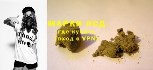 PSILOCYBIN Аркадак