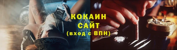 PSILOCYBIN Аркадак