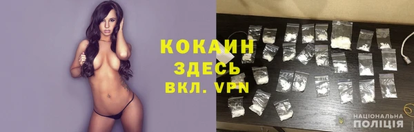 PSILOCYBIN Аркадак