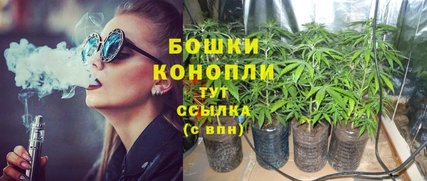 PSILOCYBIN Аркадак