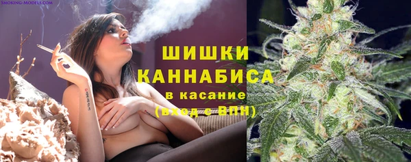 PSILOCYBIN Аркадак