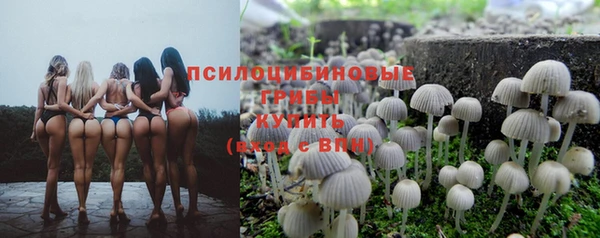 стафф Армянск