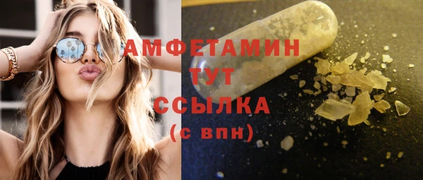 PSILOCYBIN Аркадак
