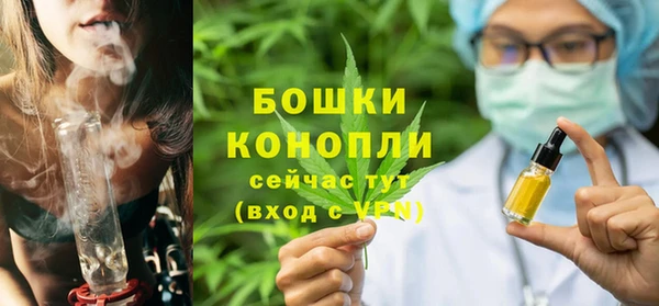PSILOCYBIN Аркадак