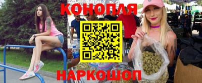 гидропоника Бердск